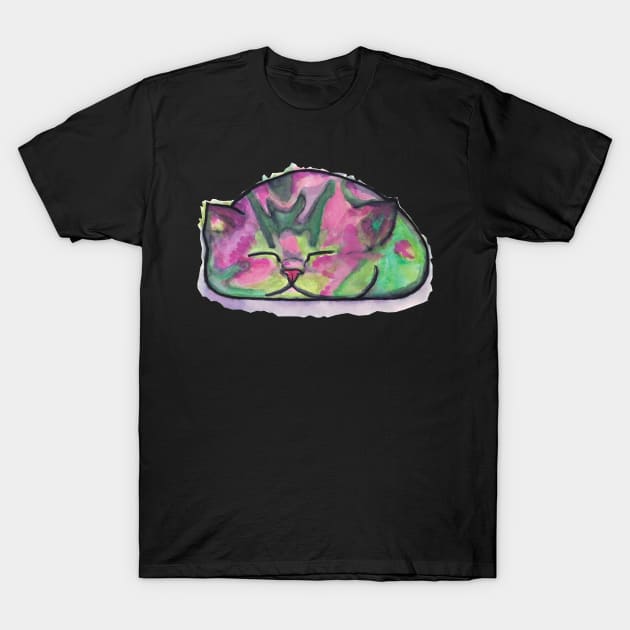 The Sleeping Watermelon T-Shirt by RommyII